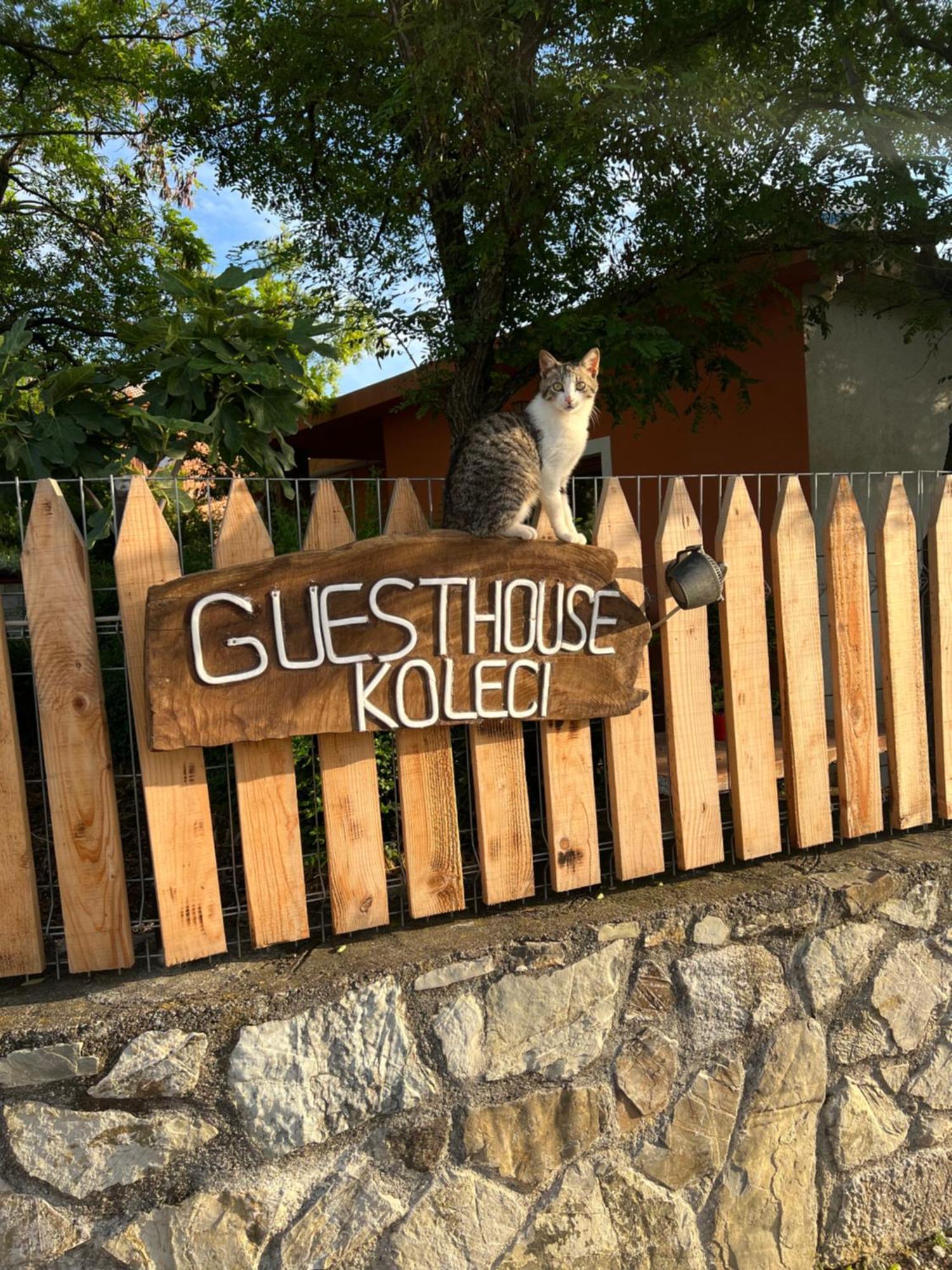 Guesthouse Koleci - Mrizi I Zanave Fishte Εξωτερικό φωτογραφία